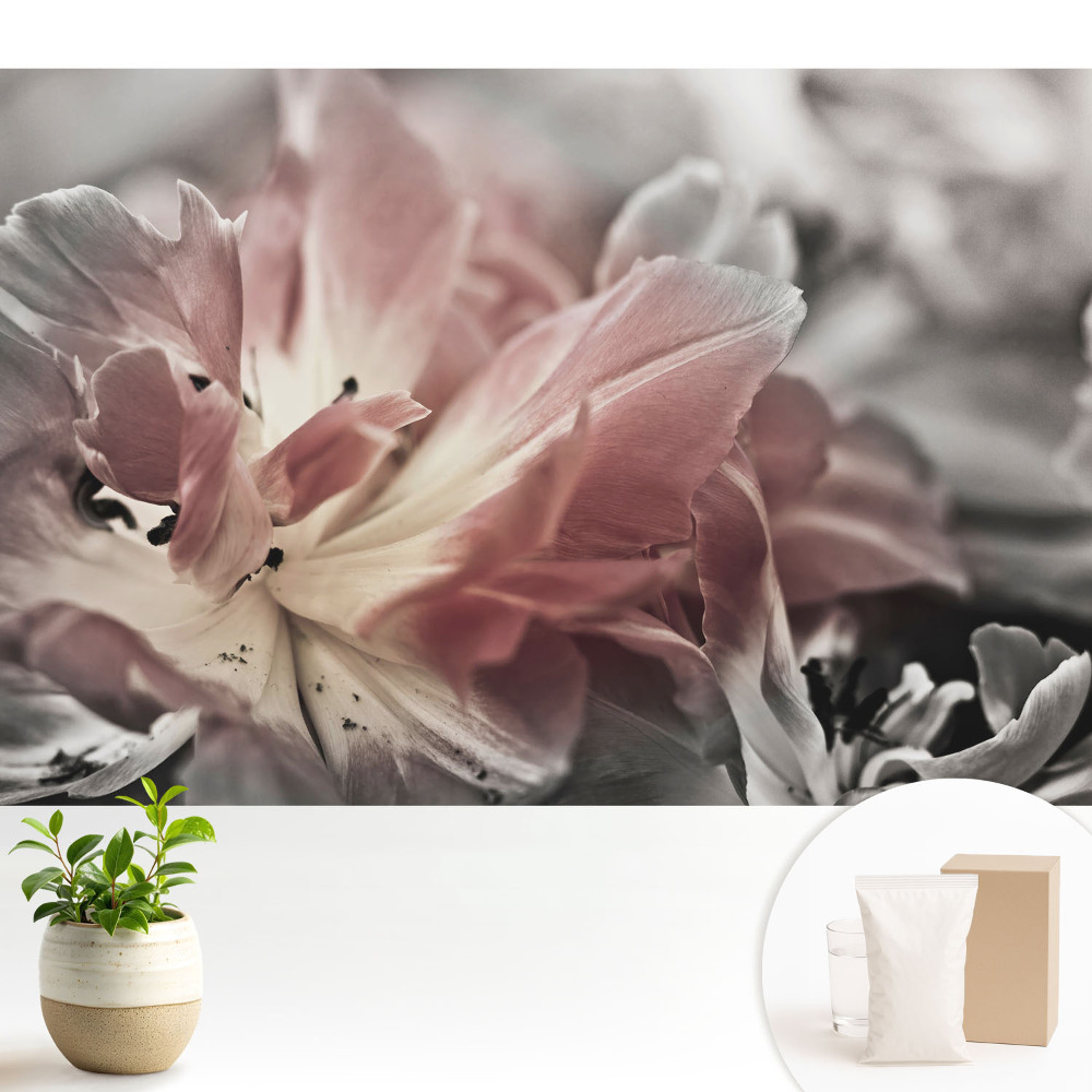 Tapeta Detailný záber na jemné kvetinové lupienky