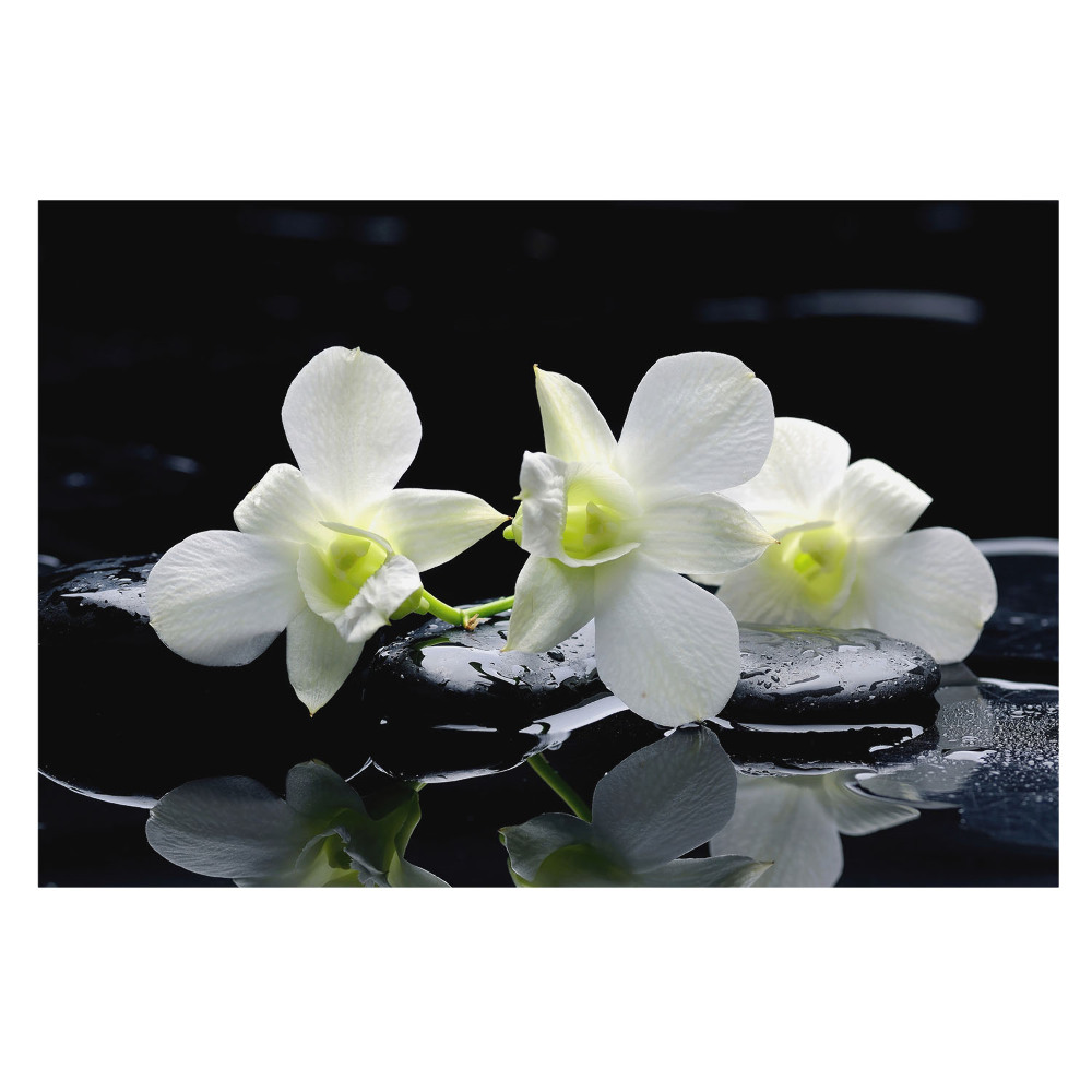 Tapeta do obývačky s motívom bielych orchideí na skalách