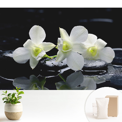 Tapeta do obývačky s motívom bielych orchideí na skalách