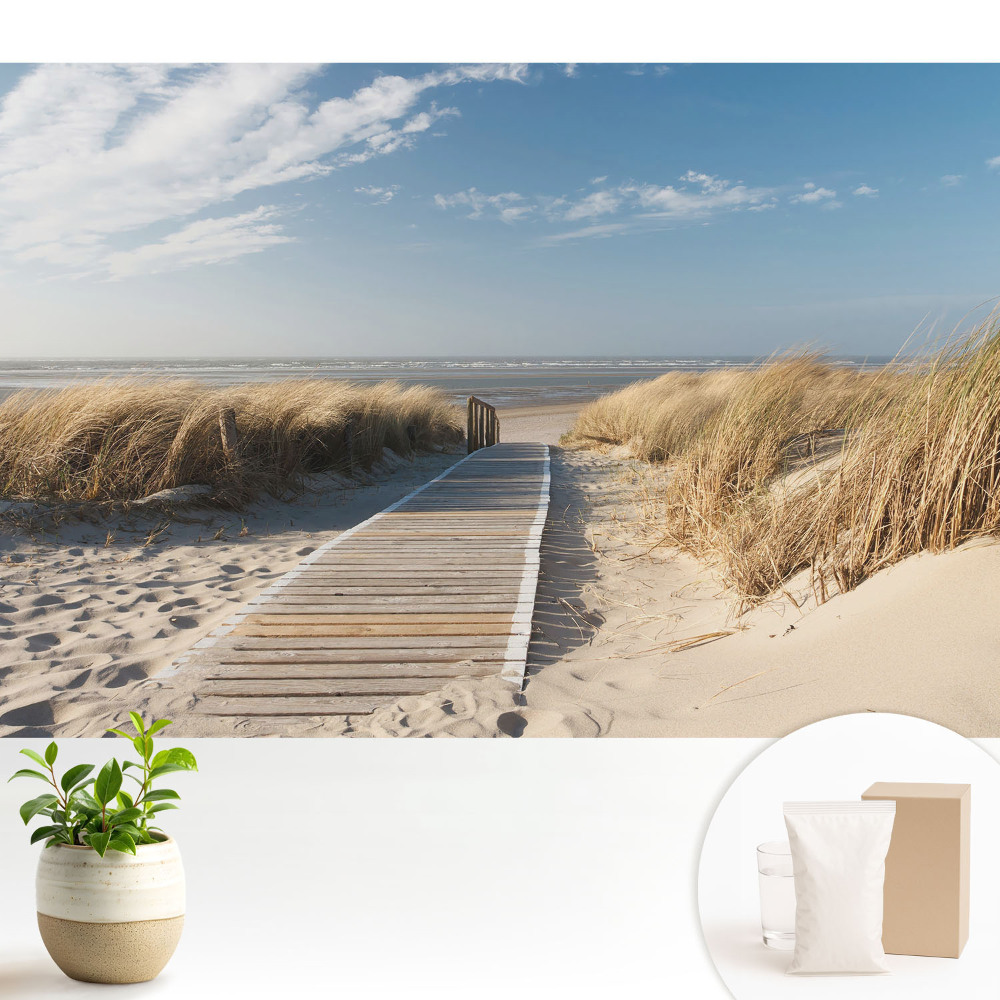 Tapeta do obývačky Prímorský chodník medzi dunami