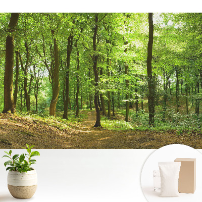 Tapeta Čerstvý zelený les