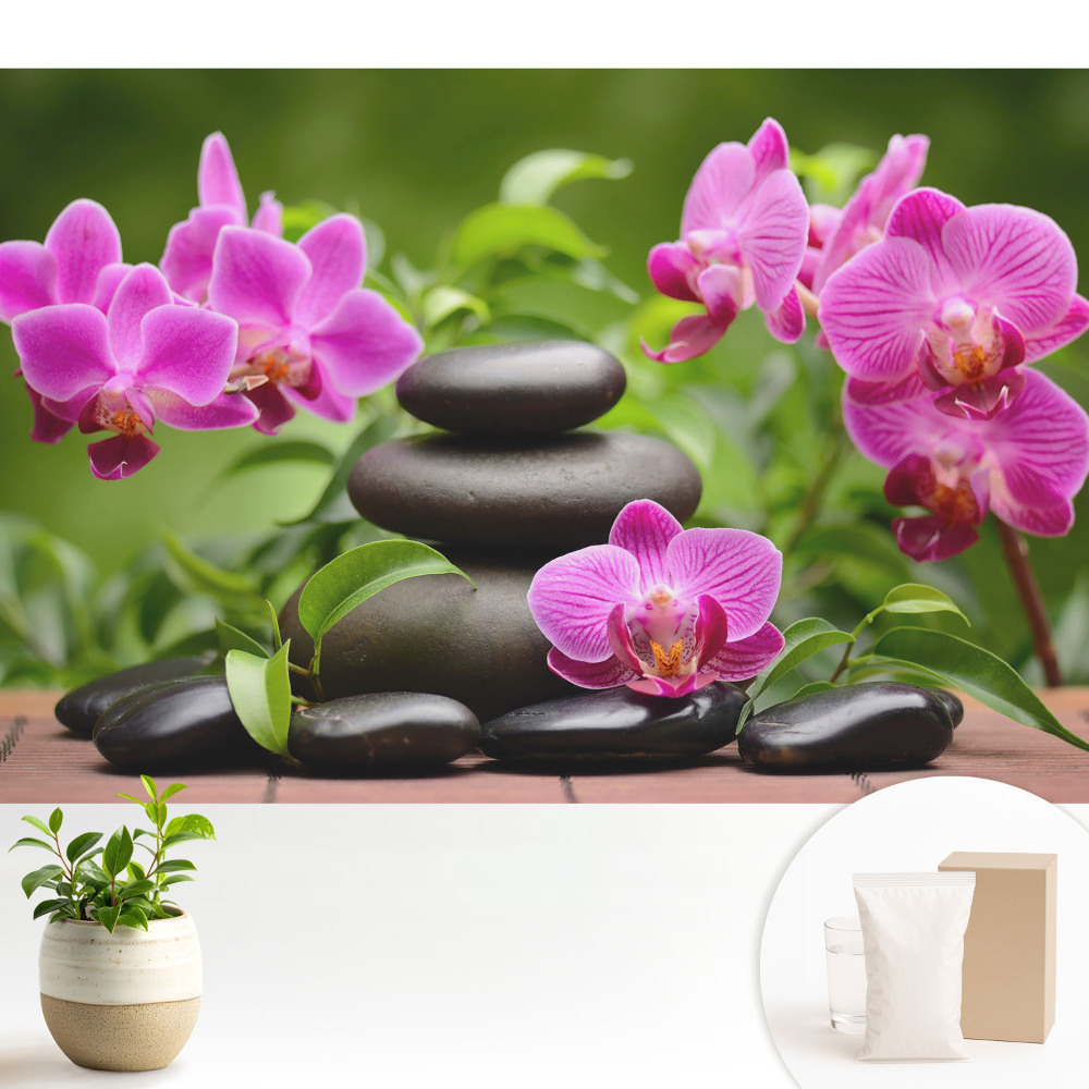 Tapeta do obývačky Kvety a kamene v harmonickom aranžmáne