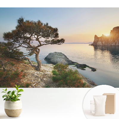 Tapeta na stenu Malebný západ slnka nad útesom