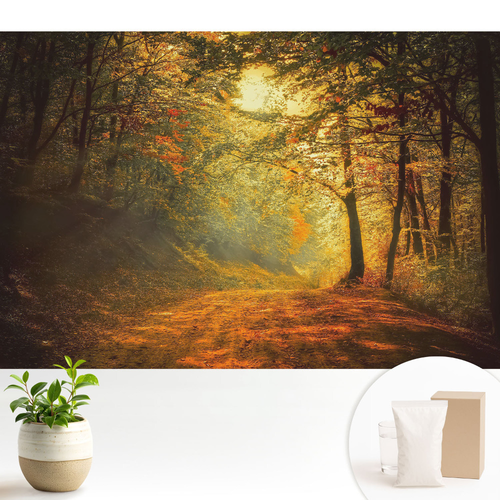 Luxusná tapeta Kúzlo jesenného lesa