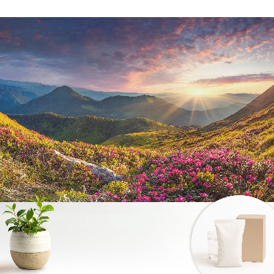 Tapeta do obývačky s motívom horskej krajiny zalievanej slnkom