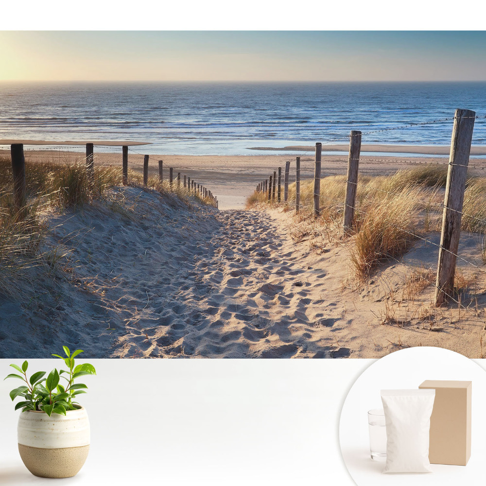 Tapeta Cesta cez duny k moru