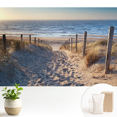 Tapeta Cesta cez duny k moru