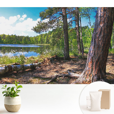 Tapeta na stenu s motívom lesnej krajiny pri jazere v prírodných tónoch