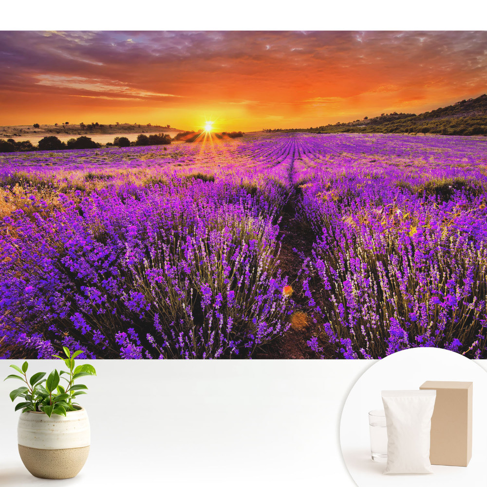 Tapeta na stenu Západ slnka na levanduľových poliach