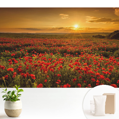 Tapeta s motívom západu slnka v makovom poli