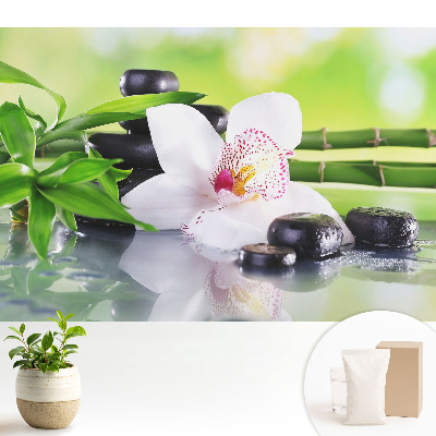 Tapeta na stenu s motívom orchideí a kameňov obklopených bambusom