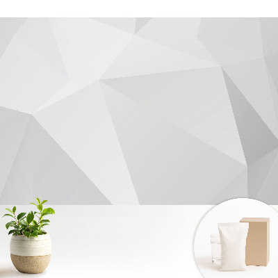 Tapeta do obývačky Sivé geometrické tvary elegancia modernosť