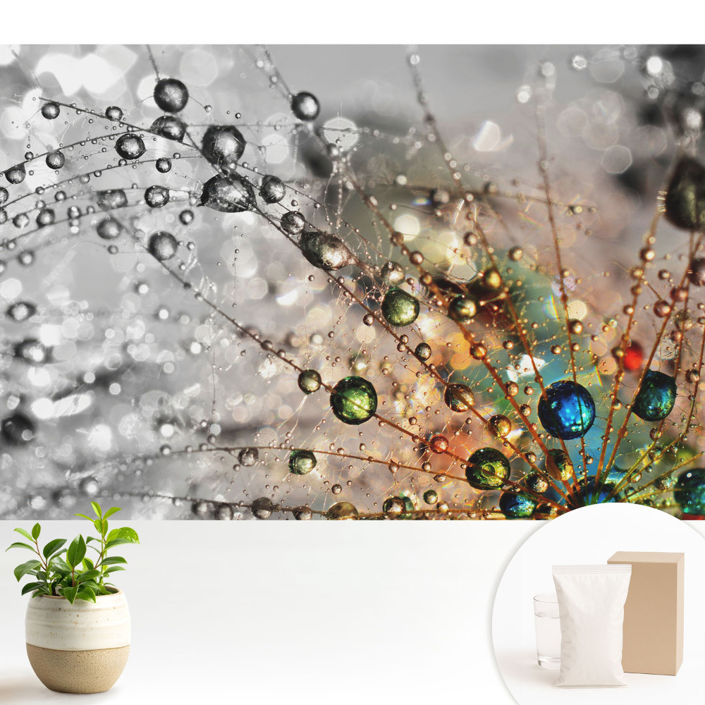 Tapeta do obývačky Farby kvapiek na pavučine