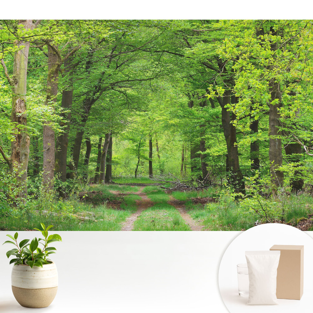 Tapeta na stenu Harmonická scenéria zeleného lesa