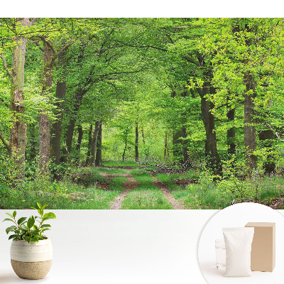 Tapeta na stenu s motívom harmonickej scenérie zeleného lesa