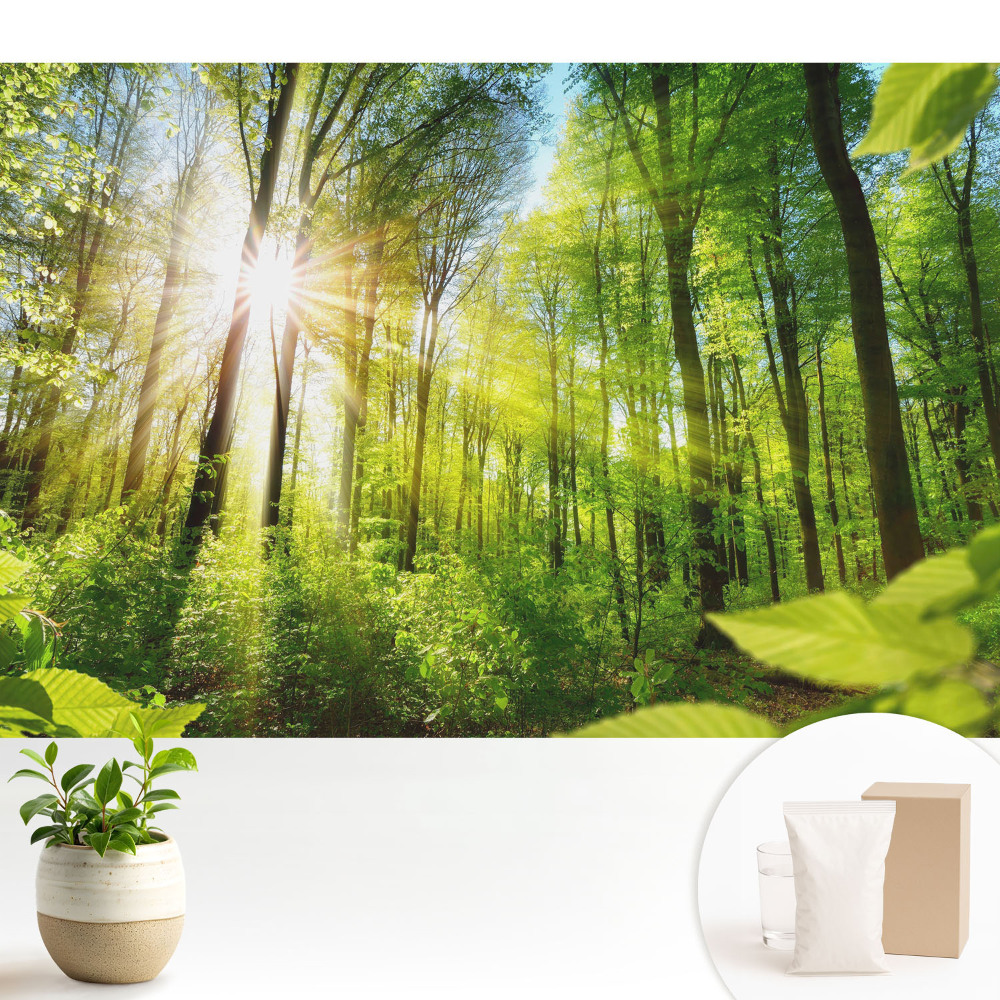 Luxusná tapeta Energia slnečného žiarenia v lesnej krajine.