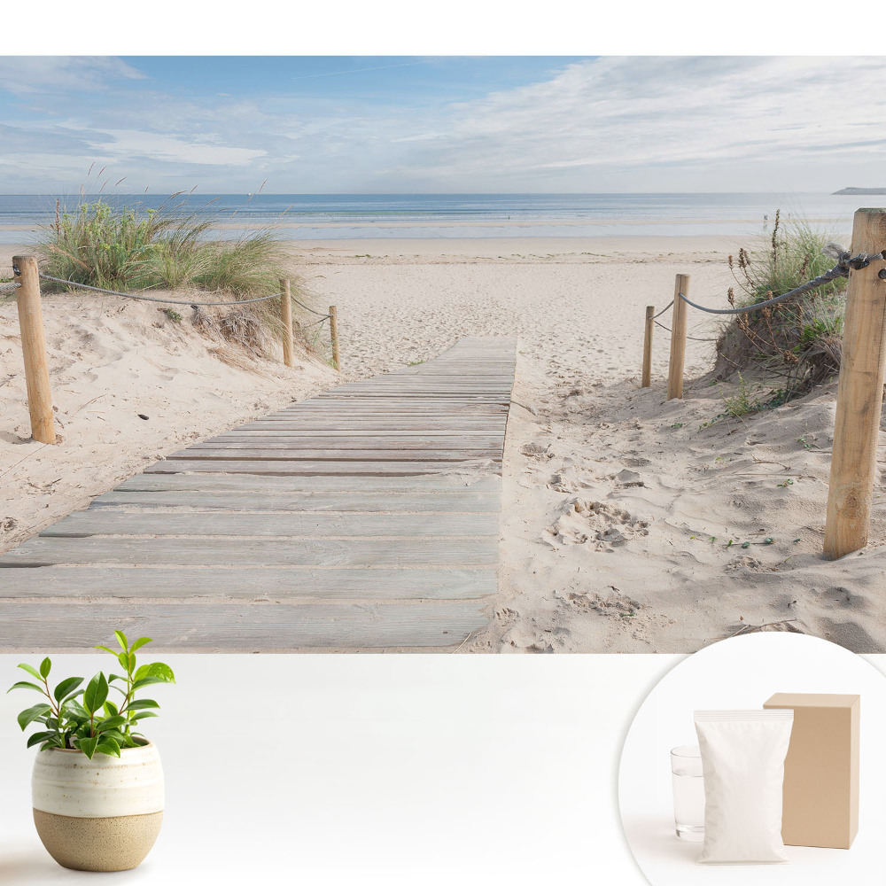 Luxusná tapeta Vchod na pláž medzi dunami