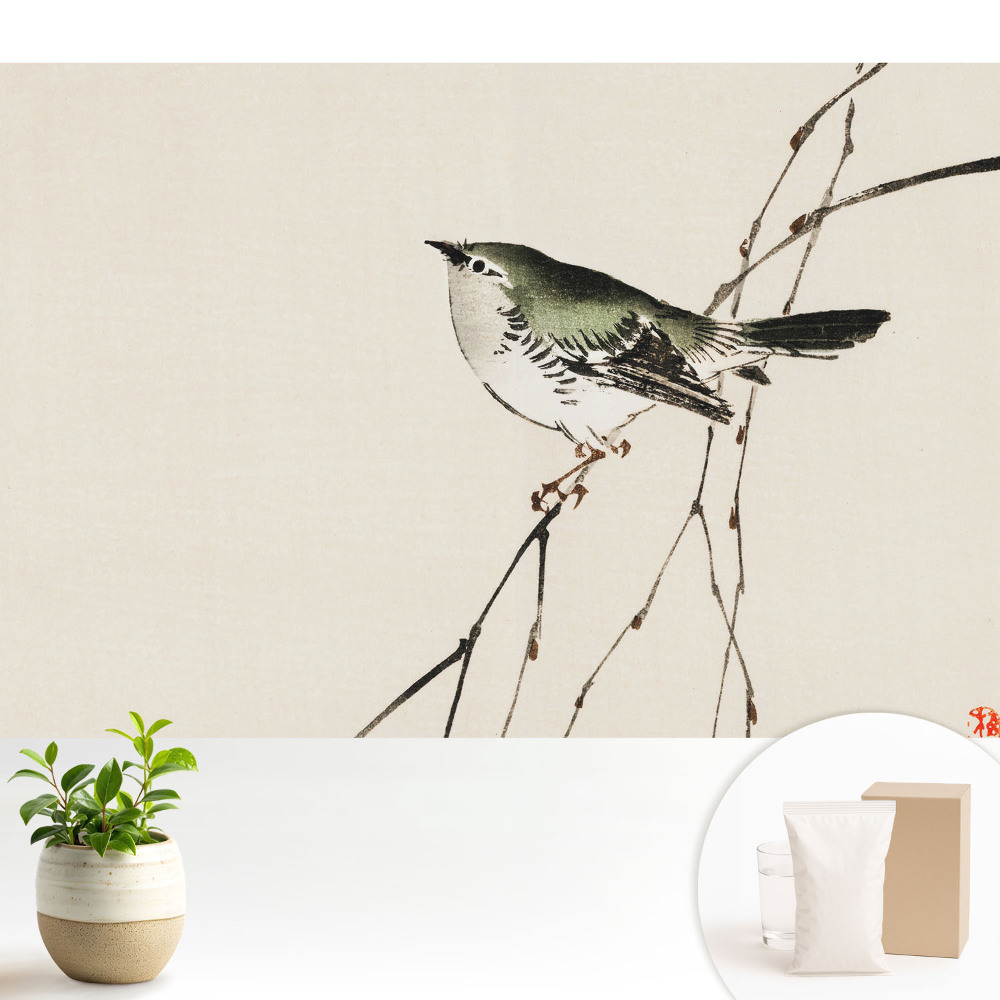 Tapeta na stenu Vták na konári minimalizmus harmónia.