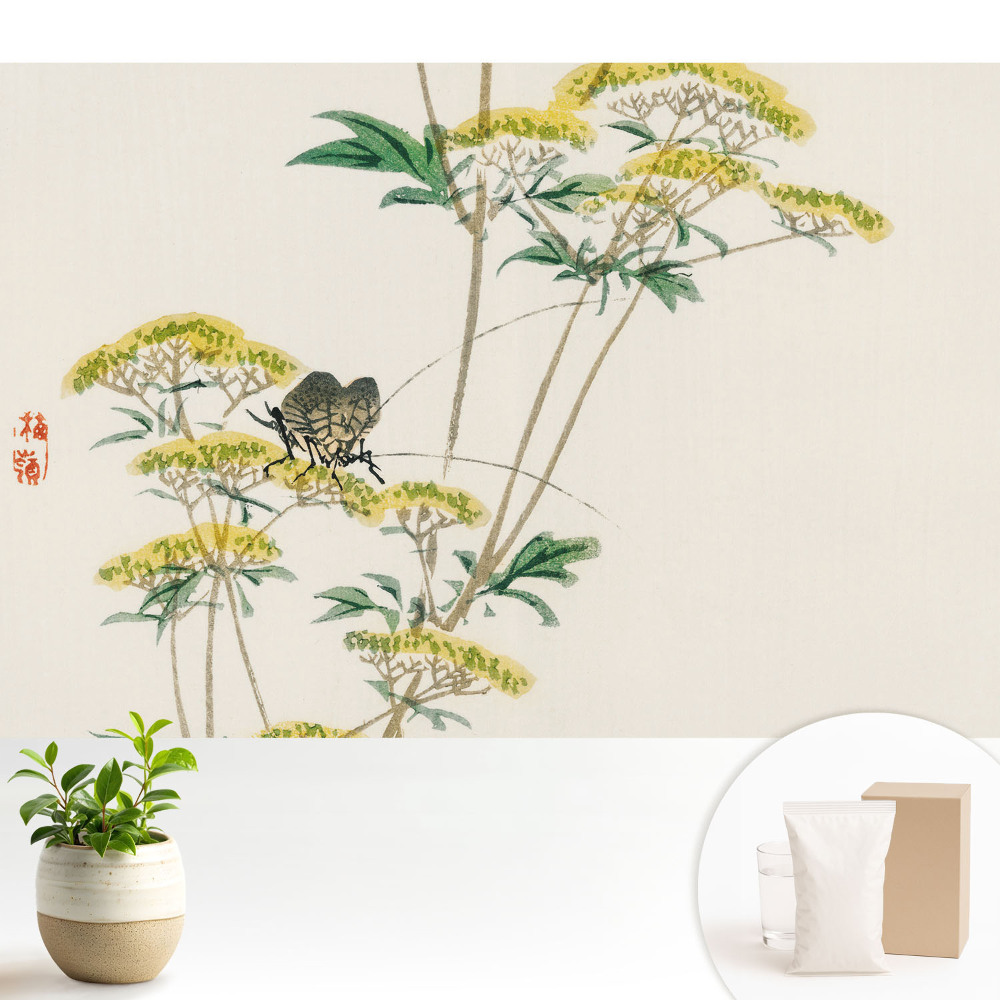 Tapeta Jemné kvety hmyz harmónia príroda