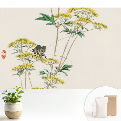 Tapeta Jemné kvety hmyz harmónia príroda