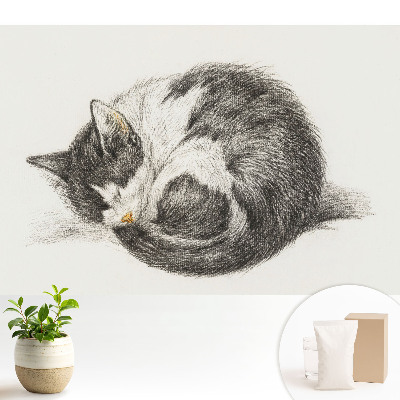 Luxusná tapeta Centrálna ilustrácia spiaceho mačiatka