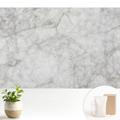 Tapeta na stenu Mramorový vzor, ​​jemné žilky, svetlé pozadie