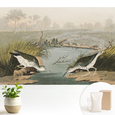 Tapeta na stenu Vtáky pri jazere, harmónia prírody