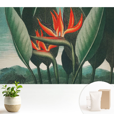 Tapeta s exotickými rastlinami na zelenom pozadí