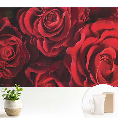 Luxusná tapeta s motívom harmonicky elegantných červených ruží