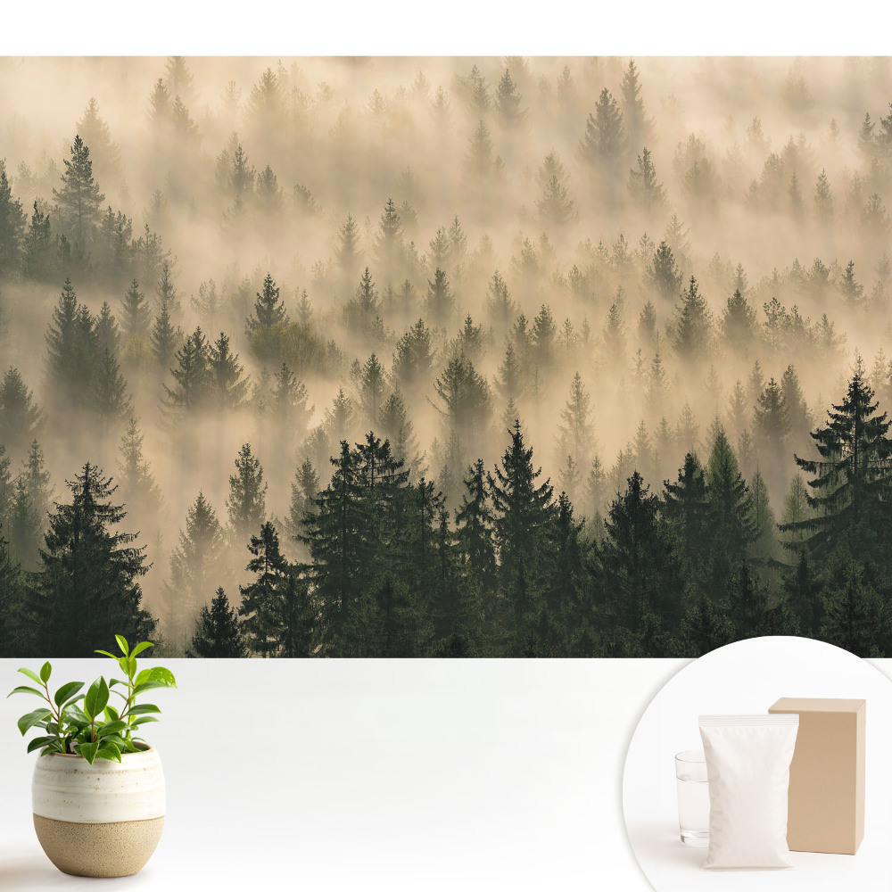 Tapeta na stenu Les v rannej hmle