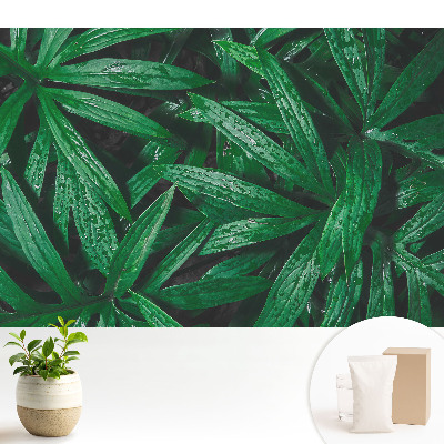 Tapeta na stenu Detail listov