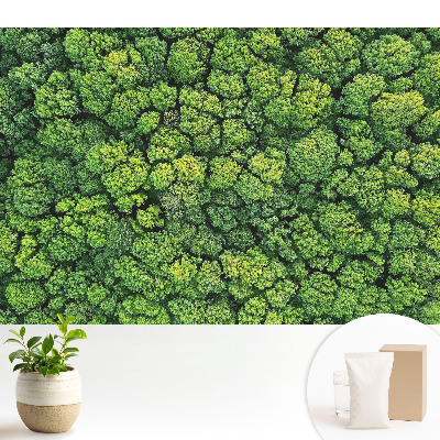 Tapeta do obývačky Zelený les zhora