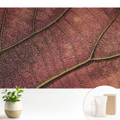 Tapeta so štruktúrou listu plnou detailov a farieb