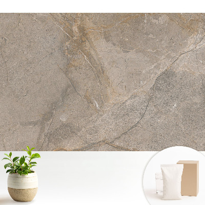 Luxusná tapeta Kameň s béžovými a sivými vzormi