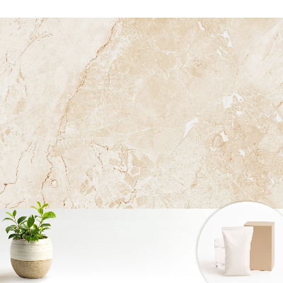 Tapeta do obývačky Elegantný béžový mramor