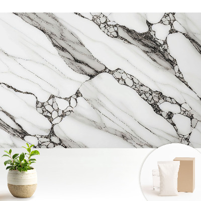 Tapeta na stenu Čierne žily na bielom kamennom pozadí