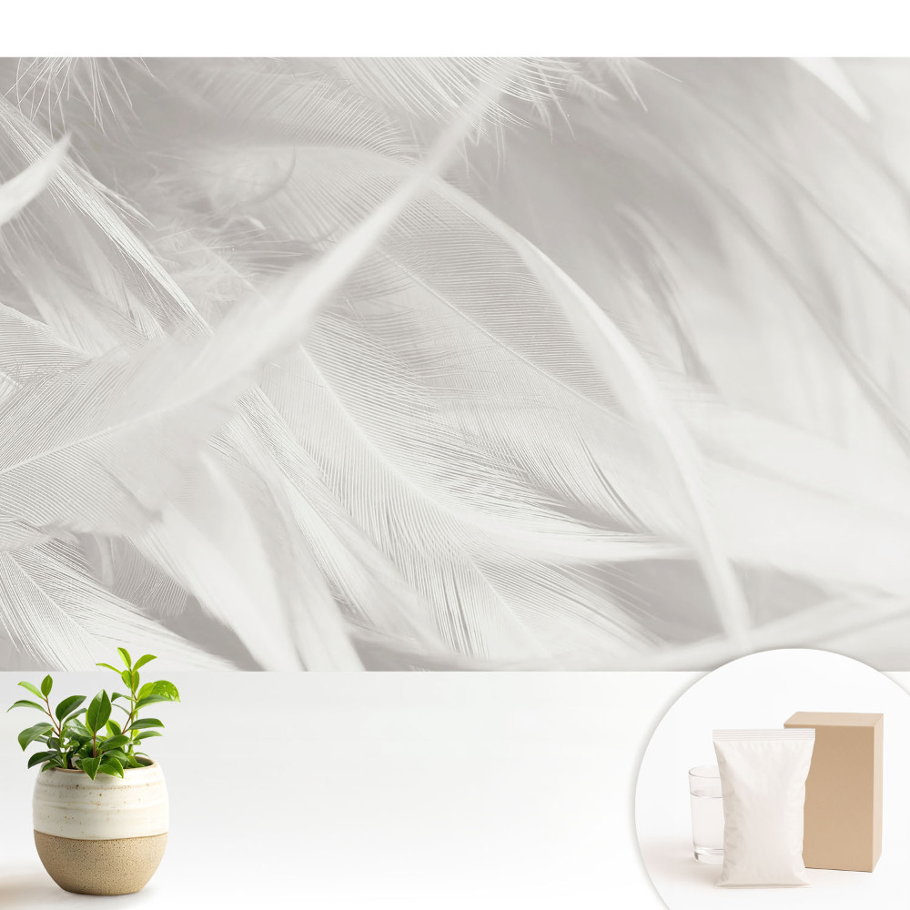 Luxusná tapeta Nadýchané biele perie