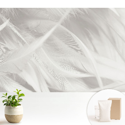 Luxusná tapeta Nadýchané biele perie