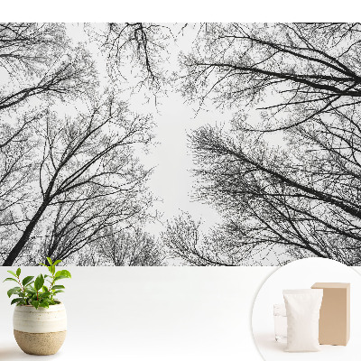 Tapeta do obývačky s čiernobielym zimným motívom stromov