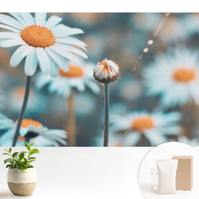 Tapeta na stenu Jemné kvety harmančeka evokujú pokoj