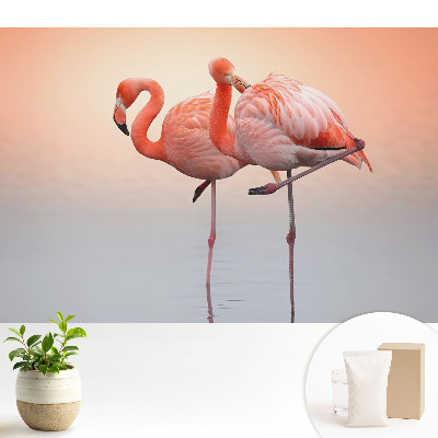 Tapeta s plameniakmi na pastelovom pozadí