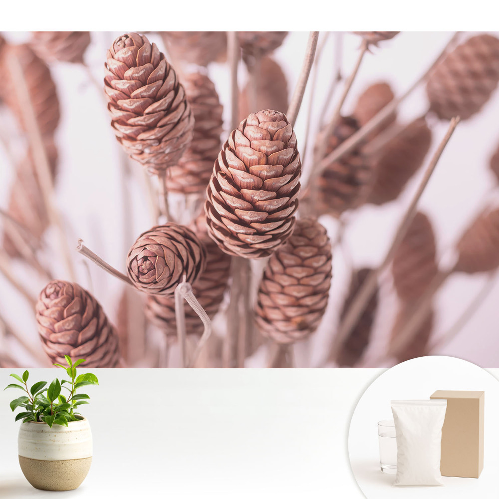 Tapeta na stenu Šišky v rustikálnom štýle