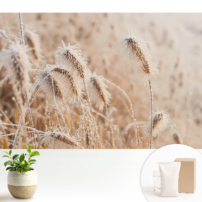 Tapeta na stenu s motívom mrazu na tráve zobrazujúca zimnú krásu prírody