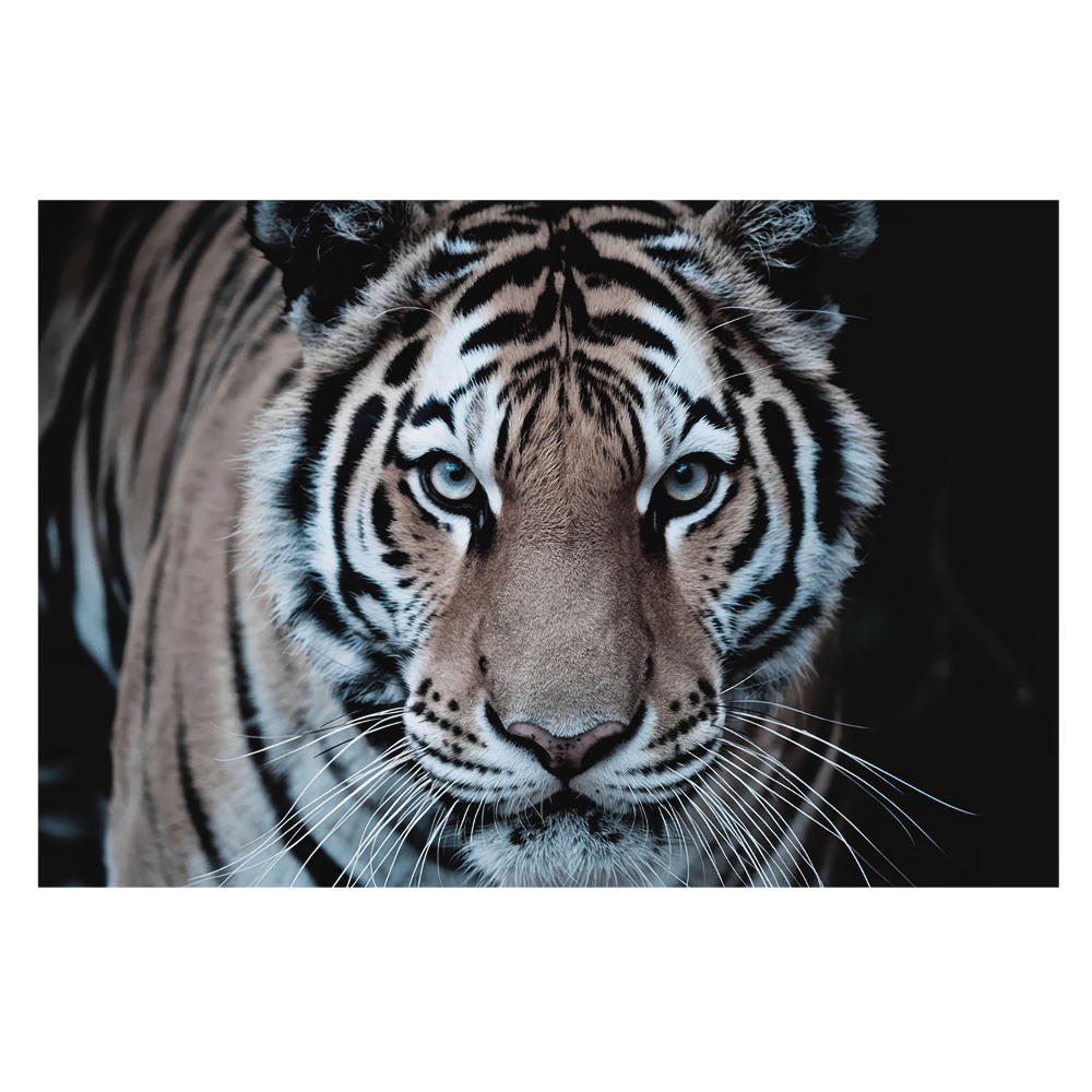 Tapeta s dynamickou kompozíciou magnetizujúceho tigra