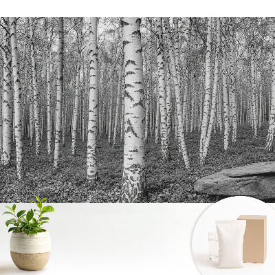 Luxusná tapeta s motívom brezového lesa, ktorá prináša pokoj a harmóniu