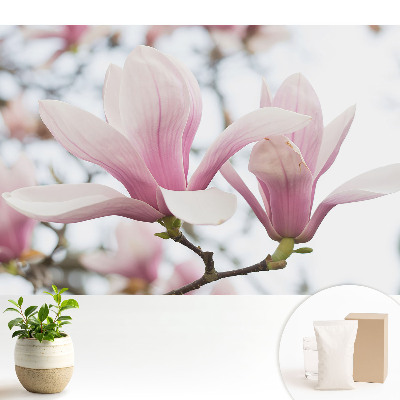 Tapeta na stenu s motívom ružových magnólií v romantickom štýle