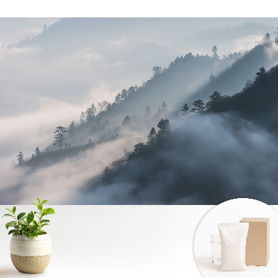 Tapeta Zamračená krajina hôr a stromov