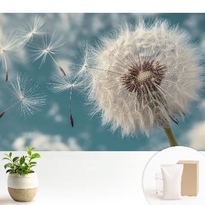 Tapeta na stenu s motívom púpavy vo vetre