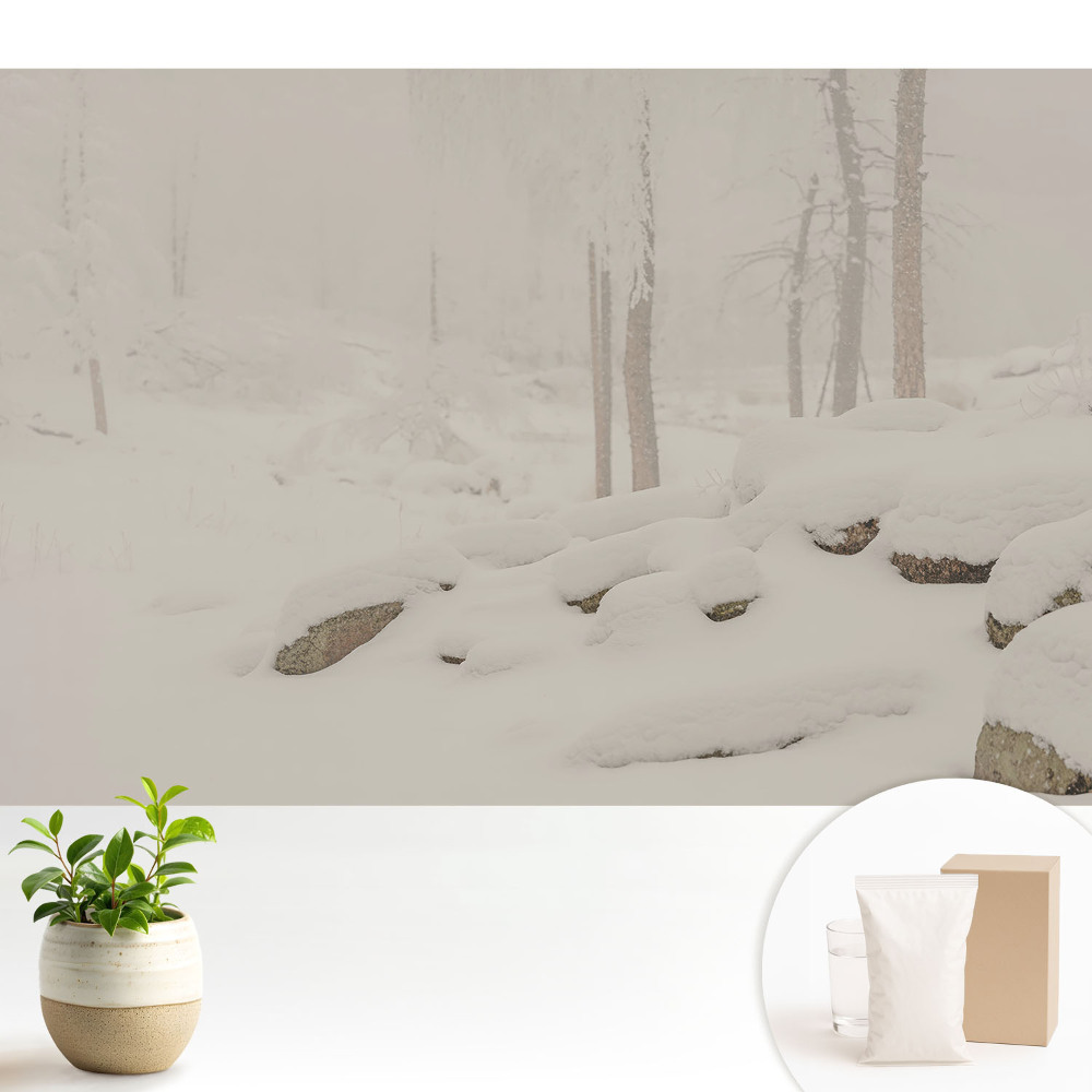 Tapeta do obývačky Zimná krajina útulný les