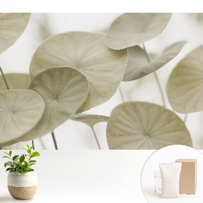 Tapeta na stenu Listy v minimalistickom štýle